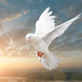 Mary Sue Dorothy `Mary` (Derge) Henderson